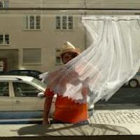 Therese Interior Design - Privacy