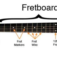 Form for entire space Therese Interior Design - Conceptual Commercial: PINK